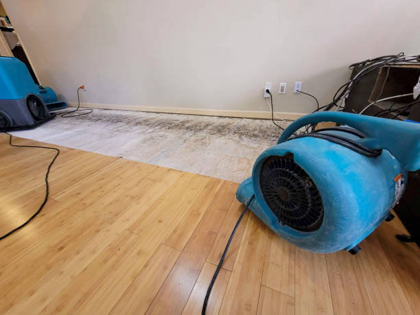 Professional Water Damage Repair technician working in Saint Nazianz, WI
